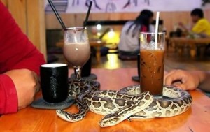Phu Nhuan's Cafe Babo, Сайгон, В'єтнам.